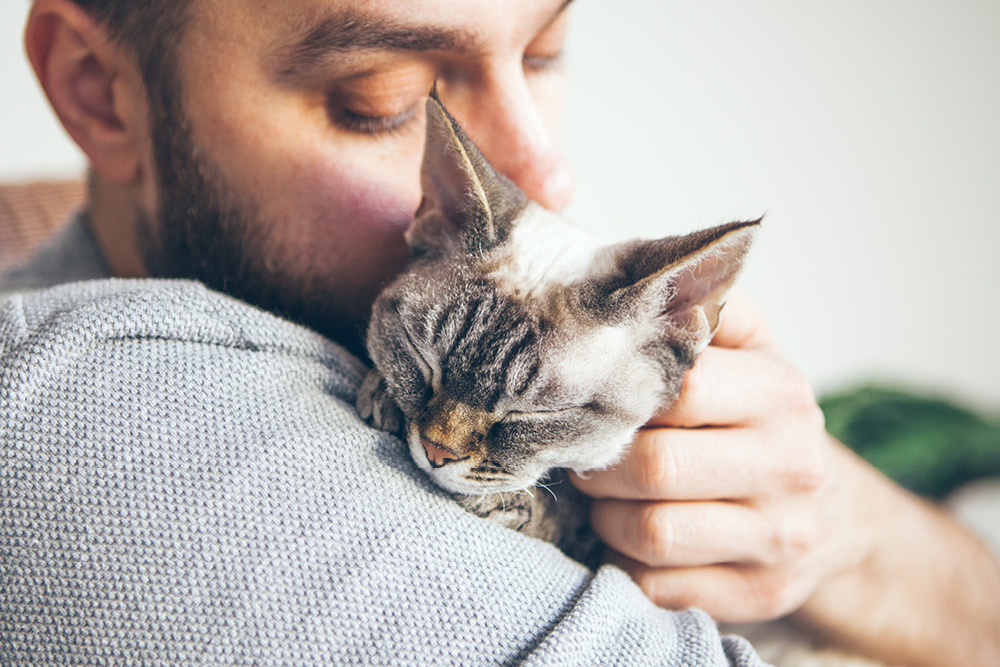 Man cuddling a cat and reducing his stress levels