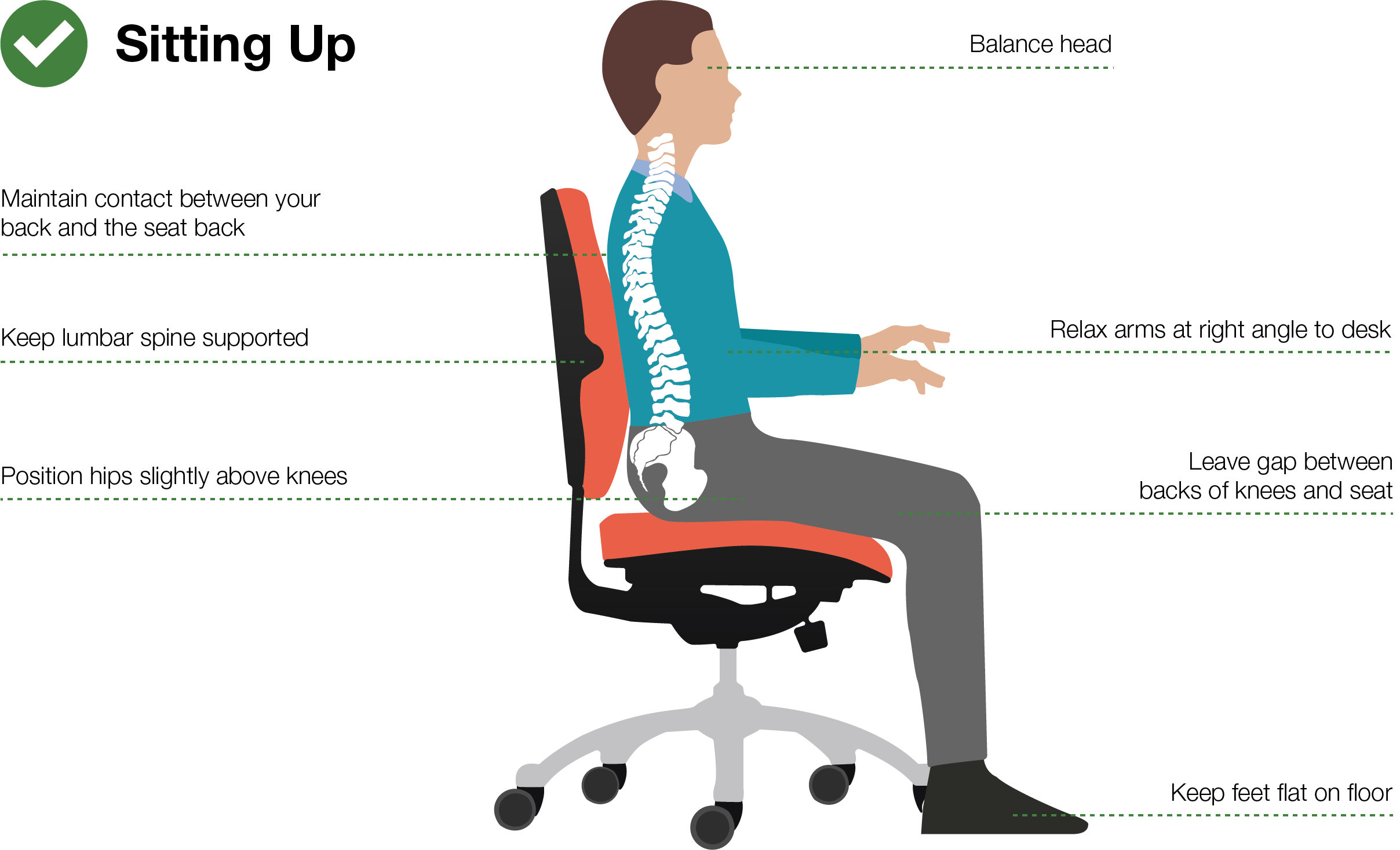 Where Should Lumbar Support Be Placed | Proper Setup Guide